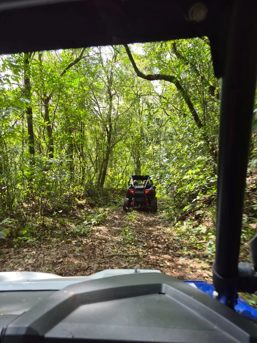 Vista do interior do UTV atravessando um trecho fechado de mata